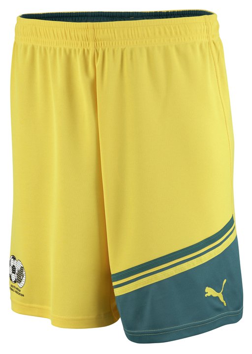 maillot afrique du sud 2012